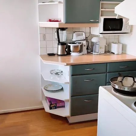 Beautiful Full Apartment In City Center Of Joensuu- Kauppakatu 39 בית אירוח
